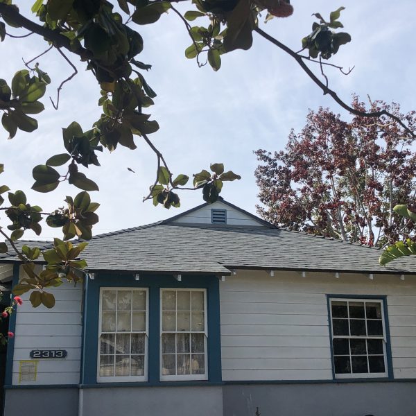 The Most Searched-For Los Angeles Roofing Trends