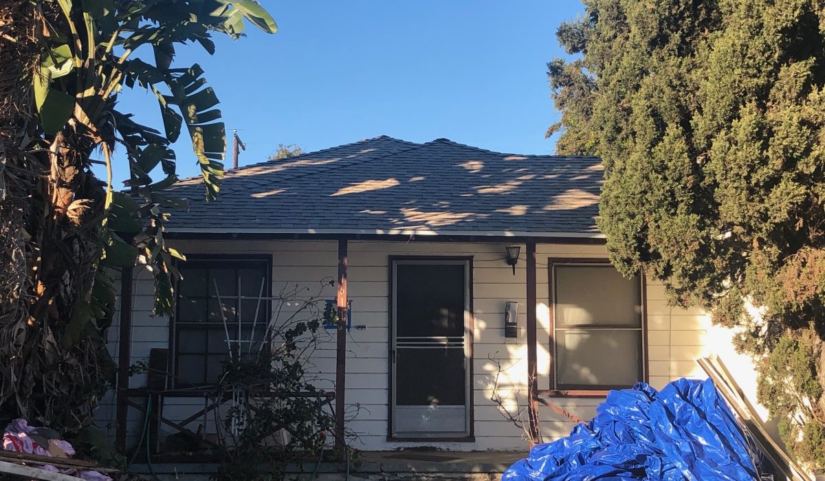 Roof Risks Hiding in Your Landscaping