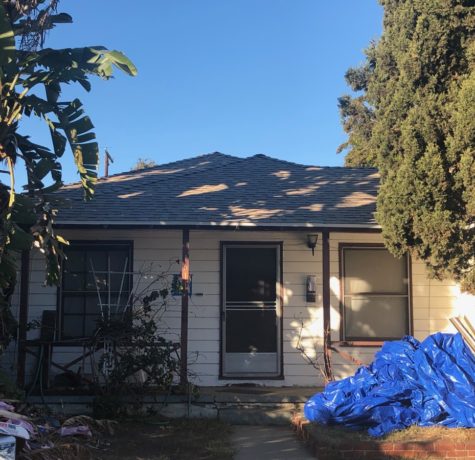 Roof Risks Hiding in Your Landscaping