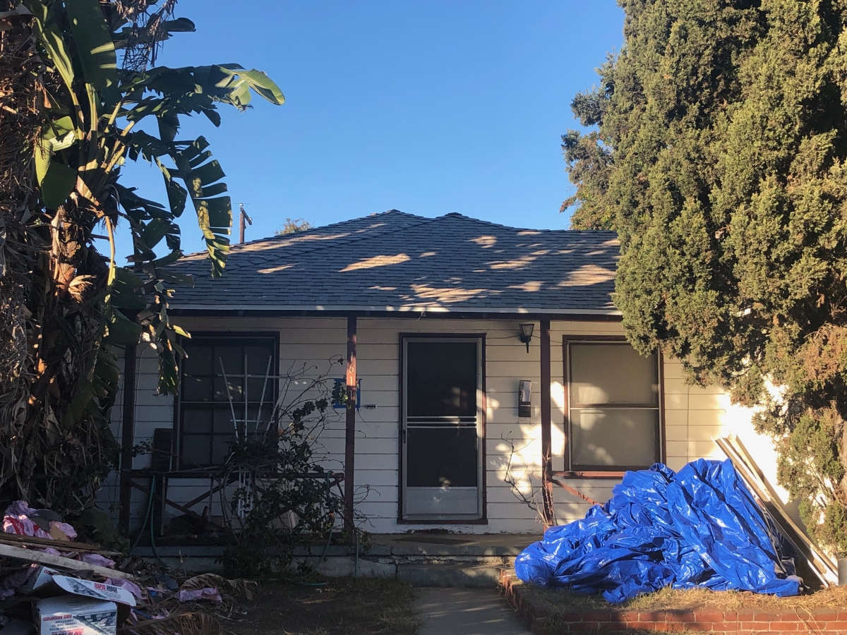 Tree Trouble: The Roof Risks Hiding in Your Landscaping