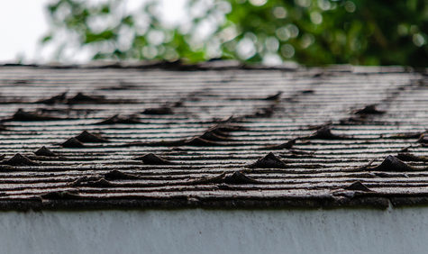 Roof Damage Causes