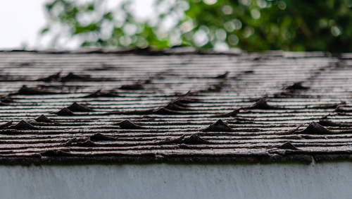 buckling shingles on roof