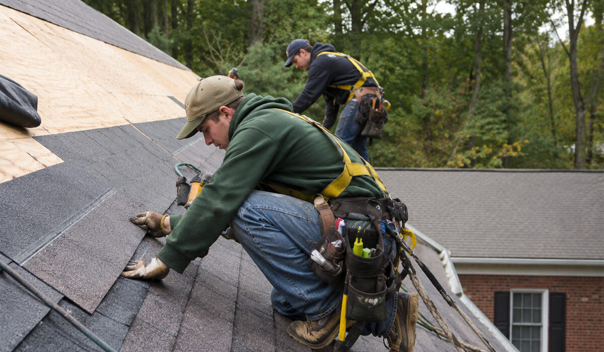 The Most Common Roof Leak Sources Ranked by How Often They Return